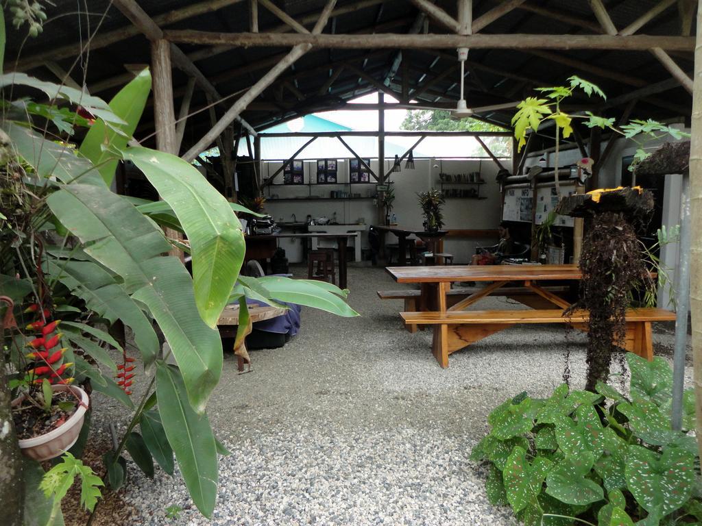 Cabinas Tropicales Puerto Jimenez Exterior photo