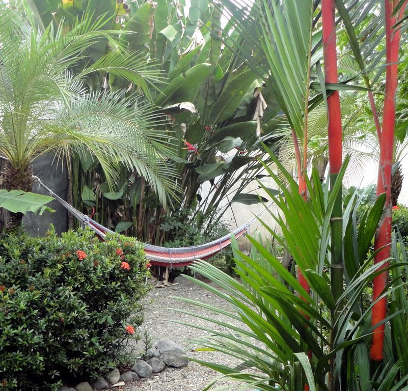 Cabinas Tropicales Puerto Jimenez Exterior photo