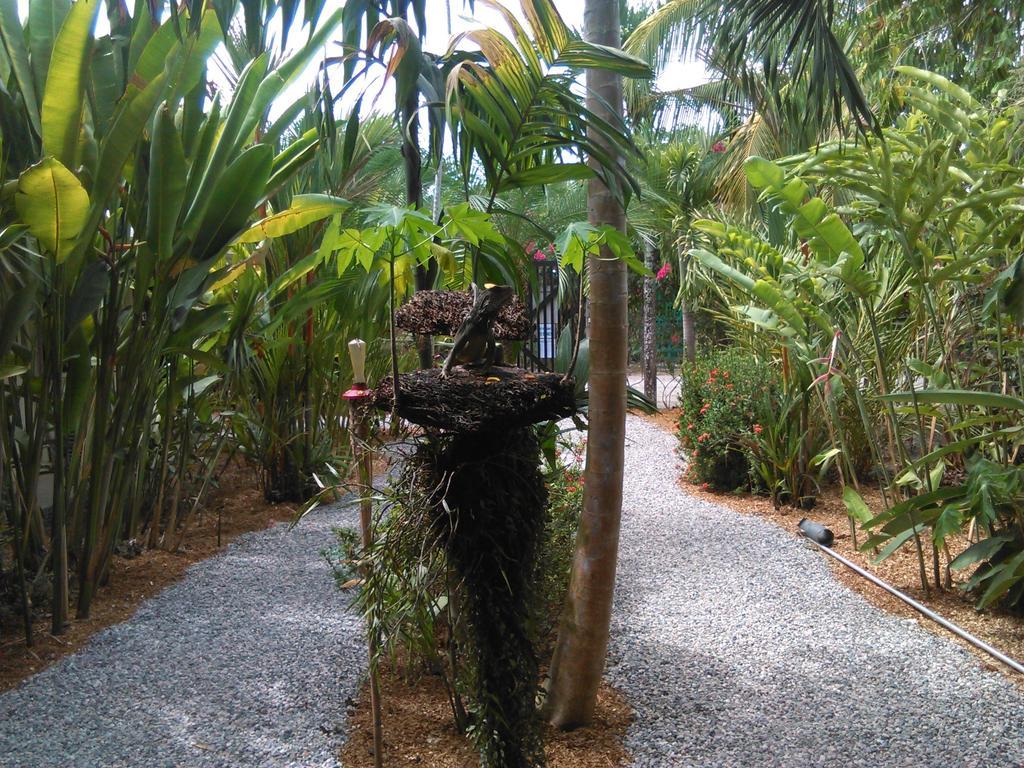 Cabinas Tropicales Puerto Jimenez Room photo