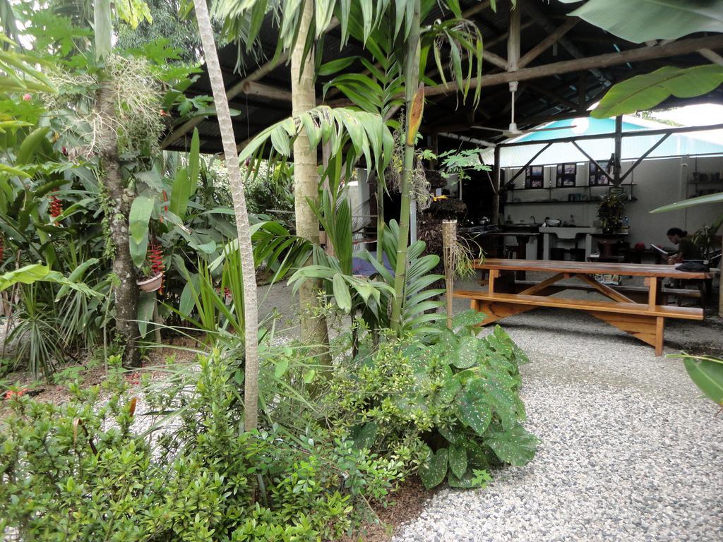 Cabinas Tropicales Puerto Jimenez Room photo