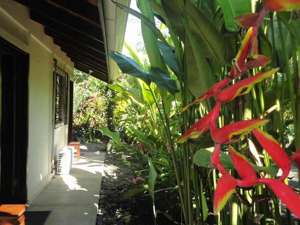Cabinas Tropicales Puerto Jimenez Room photo