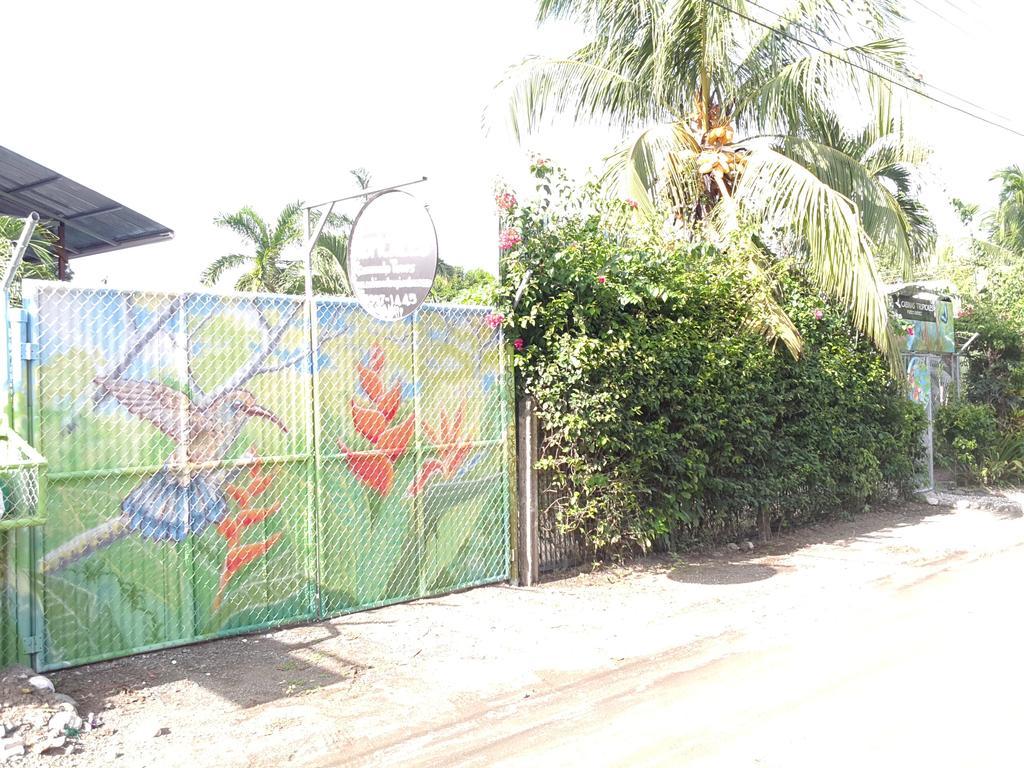 Cabinas Tropicales Puerto Jimenez Exterior photo